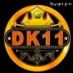 DK11