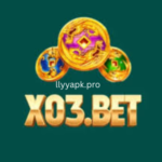 X03 Bet